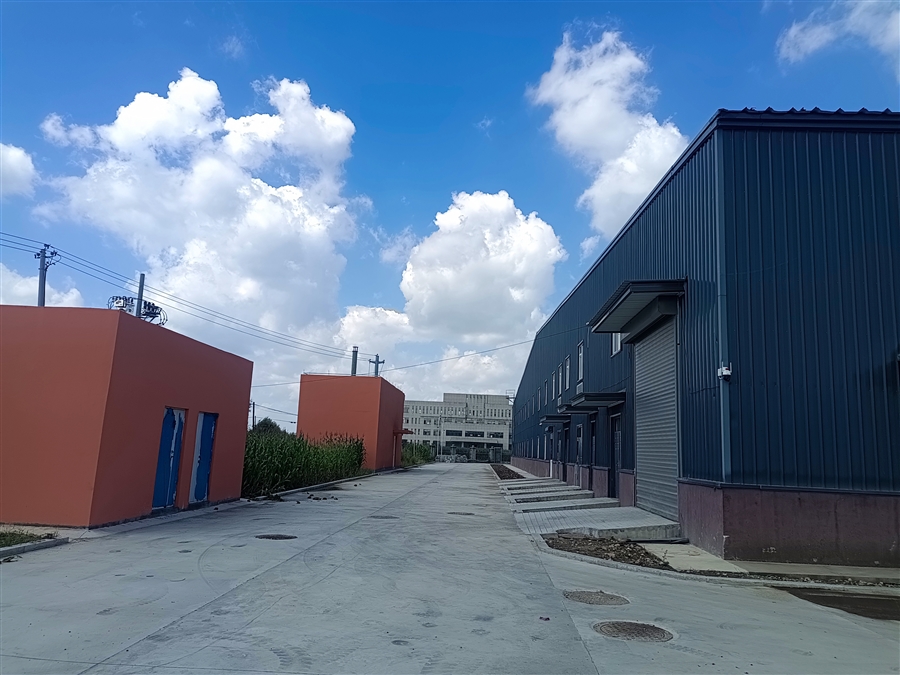 厂区道路.jpg