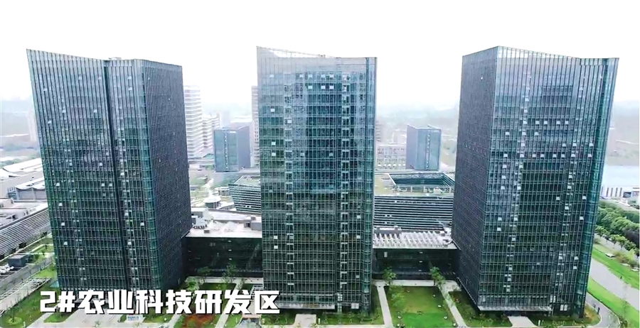 03_2_楼鸟瞰.jpg