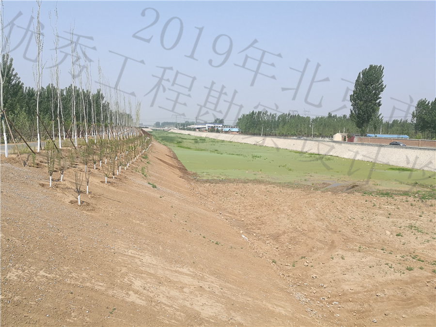 实施后的河道__17_.jpg