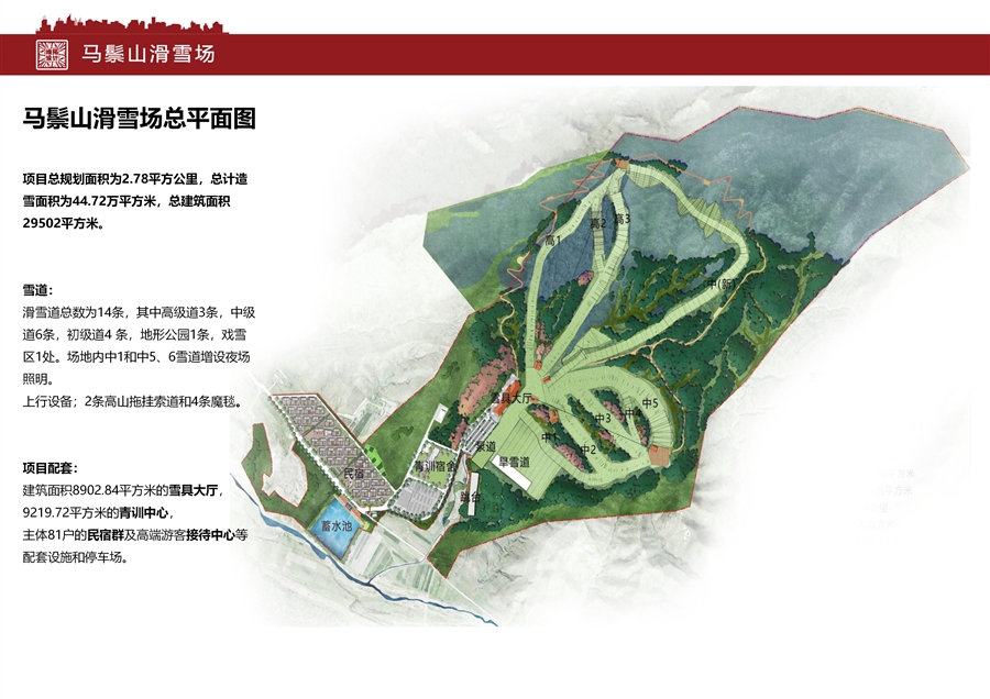 马鬃山报优_04.jpg