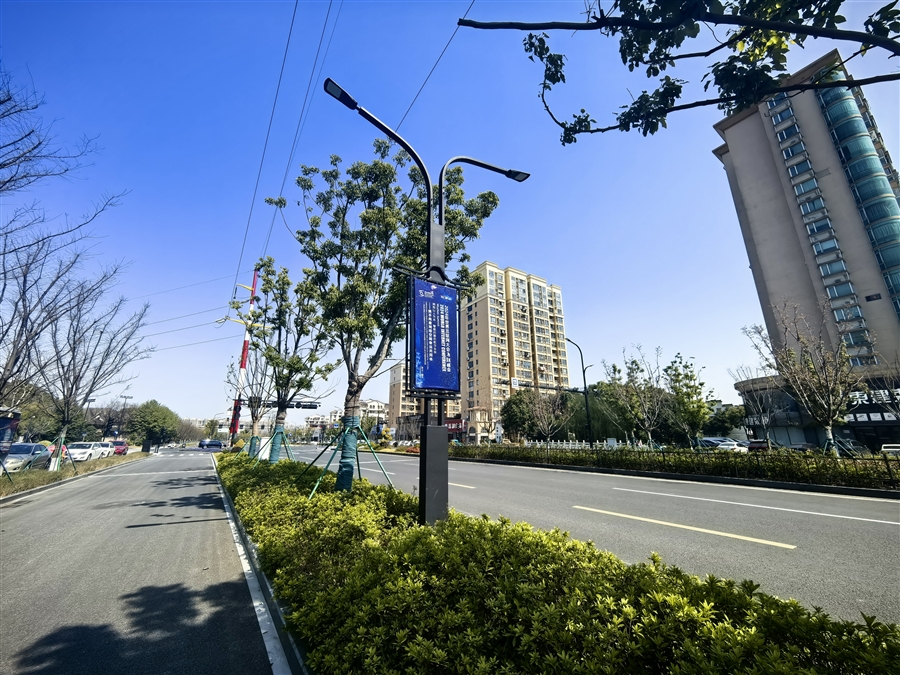 改造后侧分带景观绿化3.jpg