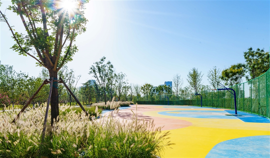 17_朗健园—森林篮球场.jpg