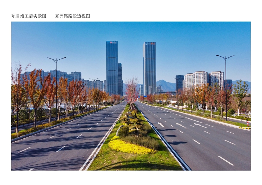 01项目竣工后实景图_东兴路路段透视图.jpg