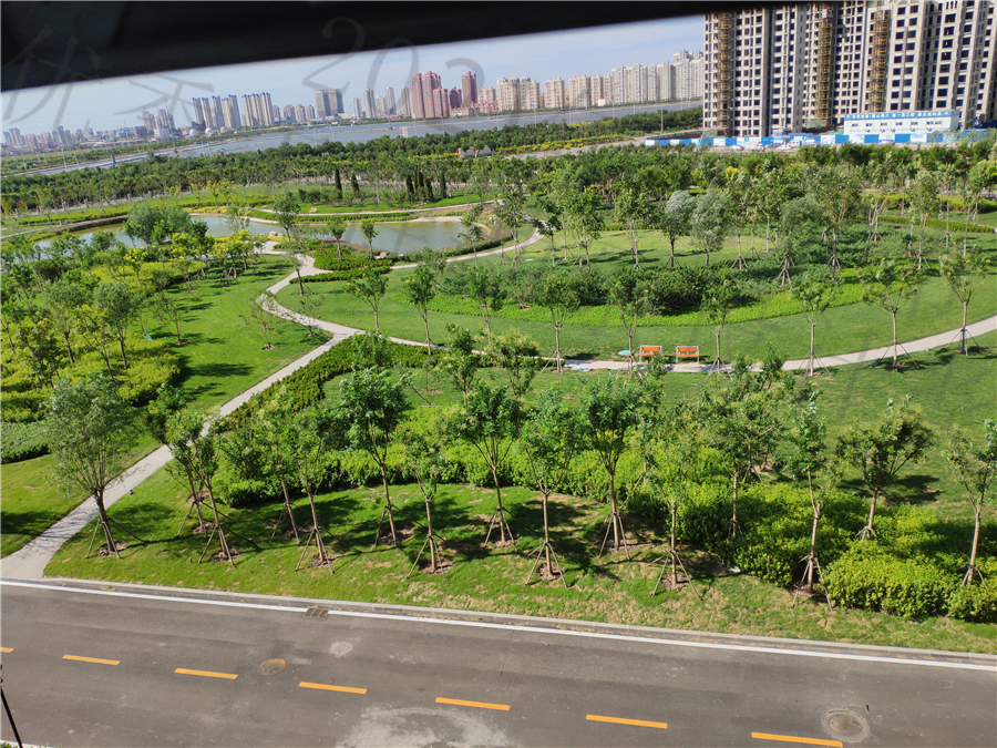 8_院区绿化_均敷设排盐管道）.jpg