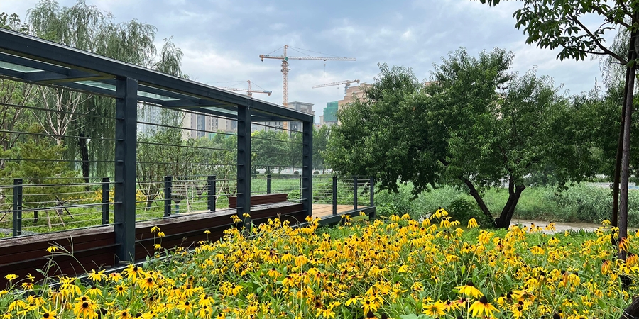 03探索之桥观景台夏季实景.jpg