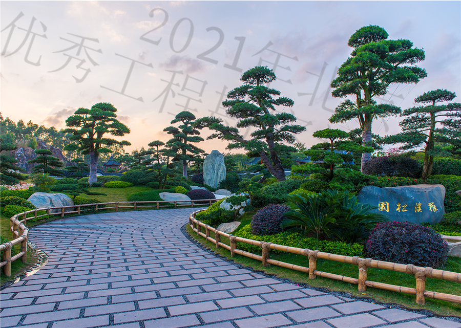 罗汉松园_3.jpg