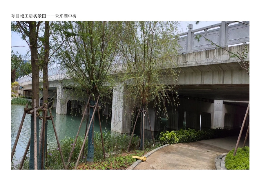 05项目竣工后实景图_未来湖中桥.jpg