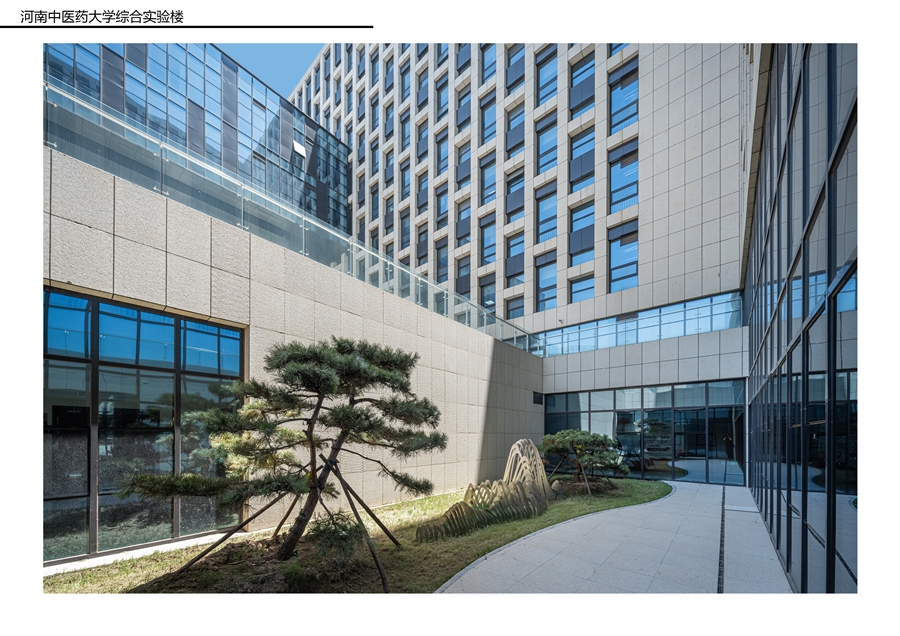 河南中医药报奖A3_25041411.jpg
