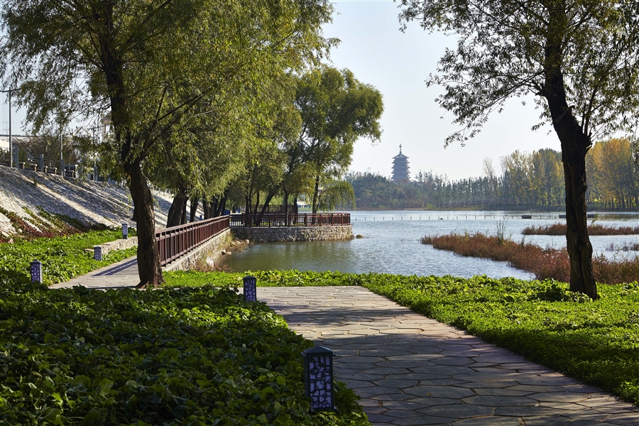 实景图05_岸线改造实景.jpg