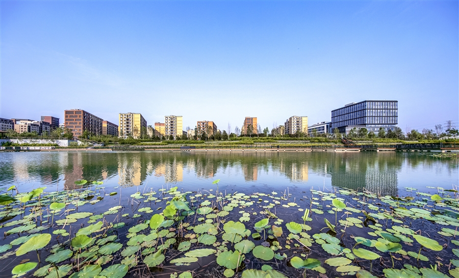25_沿湖全景图.jpg