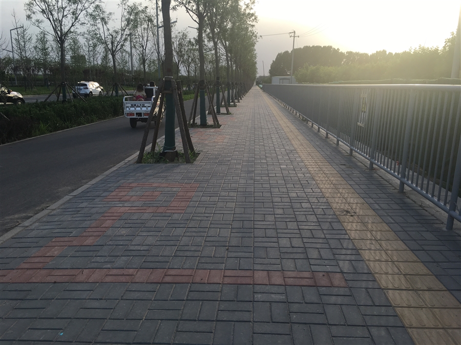 工程照片5_慢行系统精细化设计.JPG