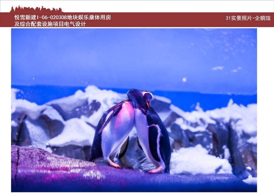 31实景照片_企鹅馆.jpg