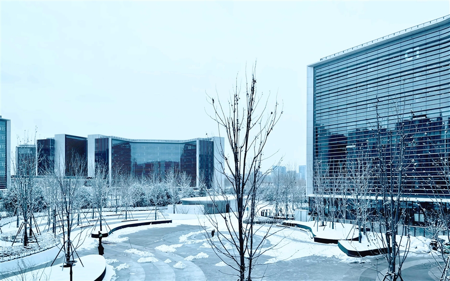 10_庭院实景.jpg
