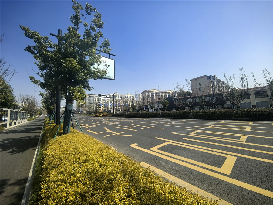 改造后侧分带景观绿化2.jpg