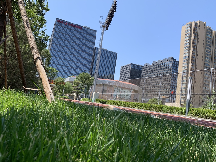 04_景观_08.jpg