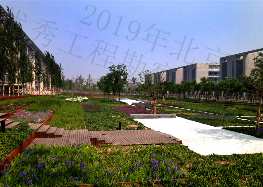 04.jpg