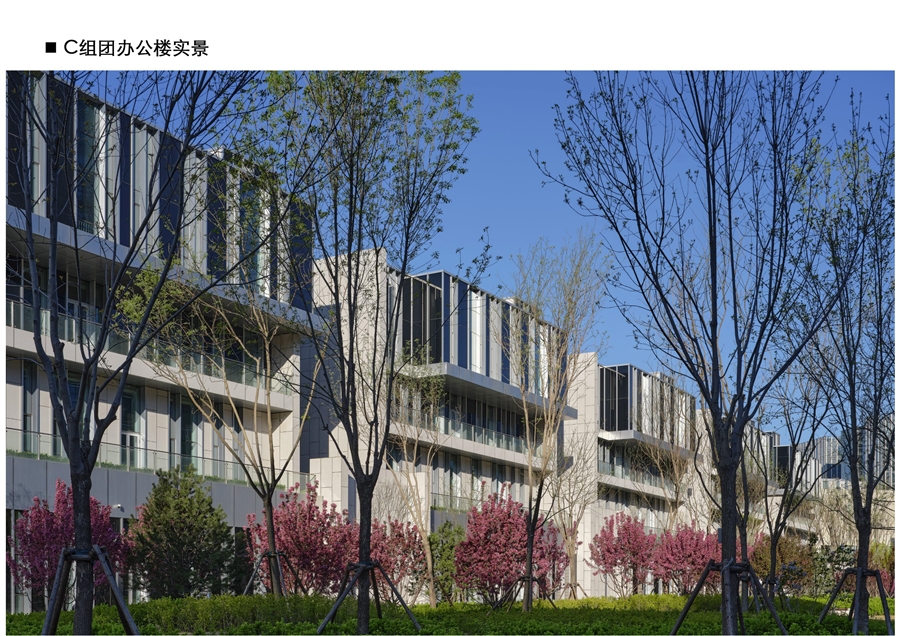 29_C组团实景2.jpg