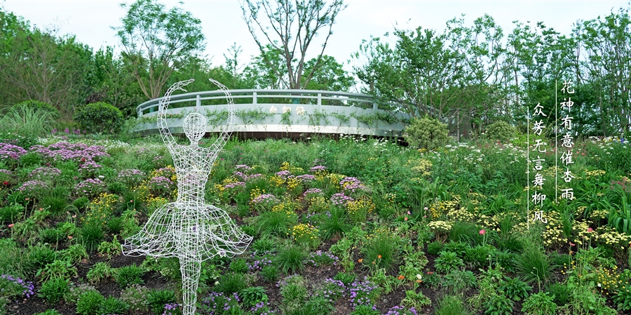 10_“菊香坡”花神小品.jpg