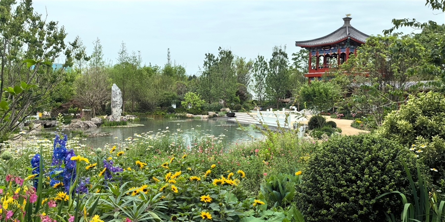 12_菊花展示区建成实景（2）.jpg