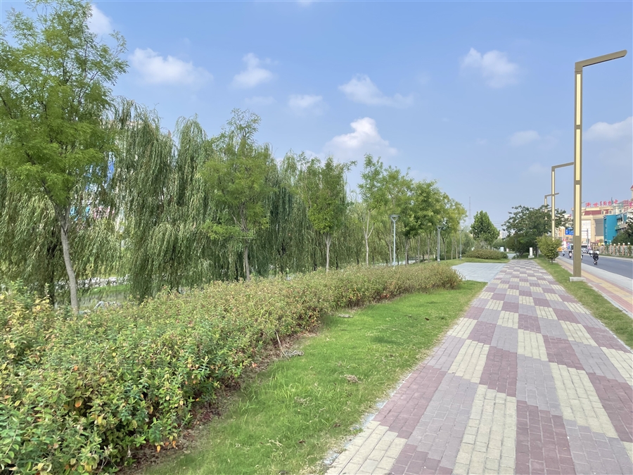 建成后滨河绿带实景照片1.jpg