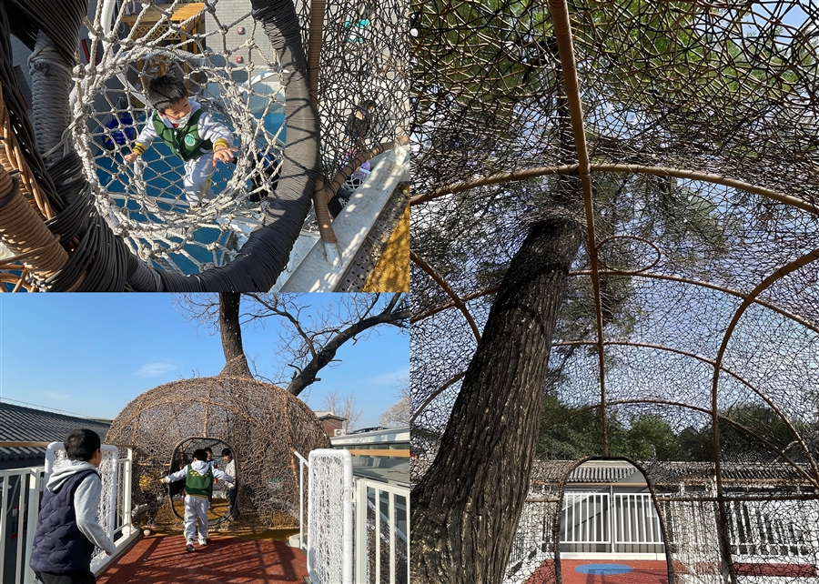 26_树屋_鸦儿胡同小学孝友胡同址.jpg