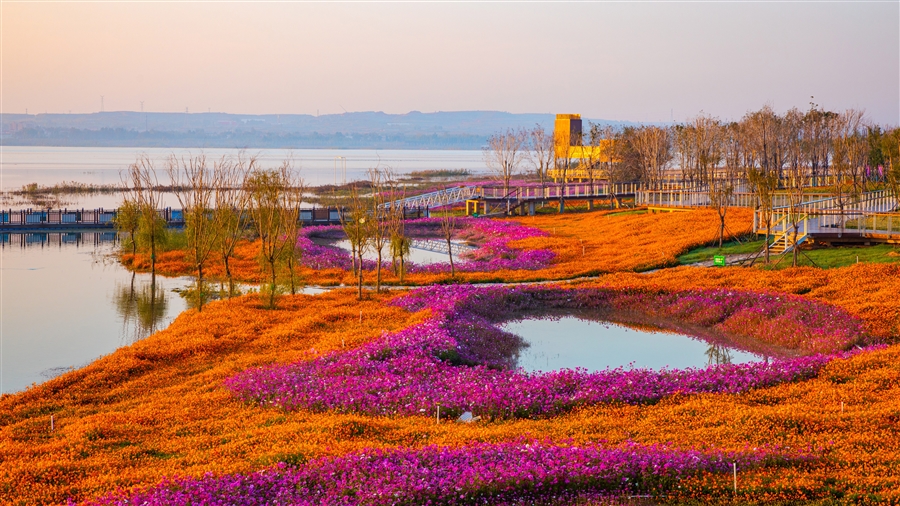 浅水生境.jpg
