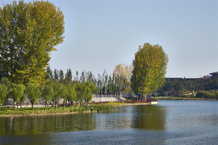 实景图02_06_岸线改造实景2.jpg