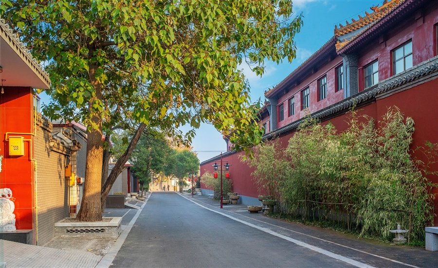 20_阳和东路建成后实景.jpg
