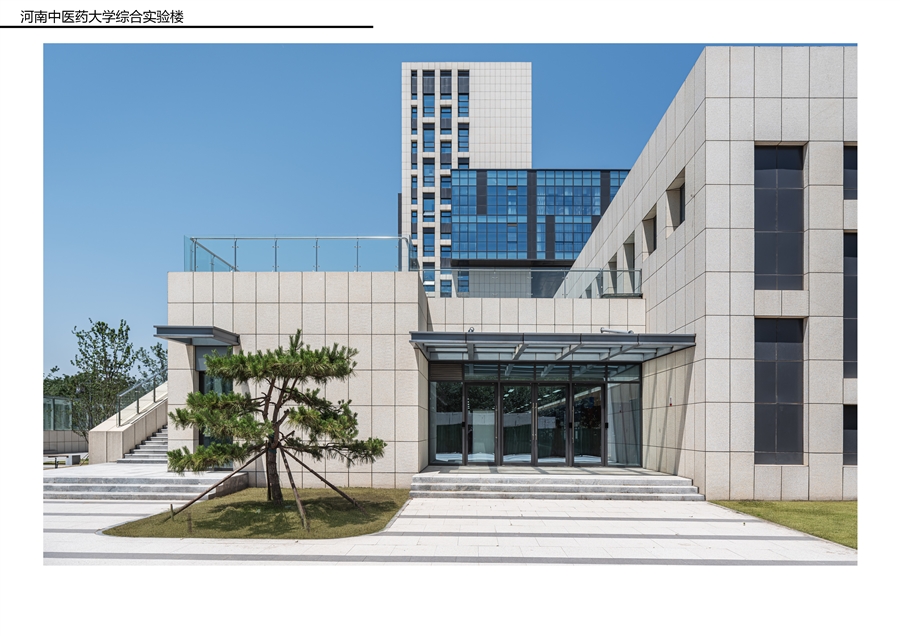 河南中医药报奖A3_2504147.jpg
