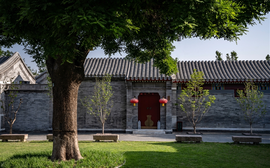 12室外照片_古树公园.jpg