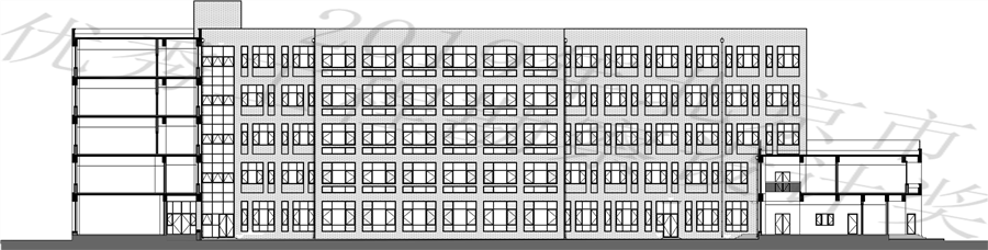 p1.jpg
