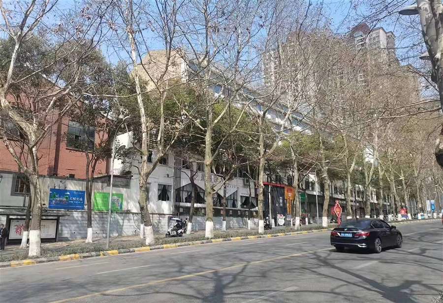 24_东南侧沿街旧照（对比1）2022年3月18日.jpg