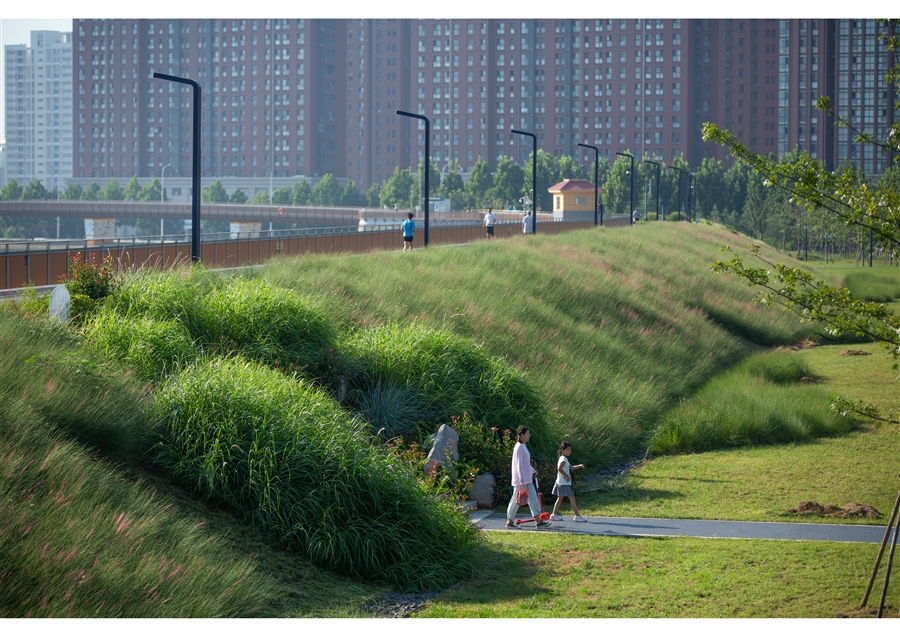 生态坝坡.jpg