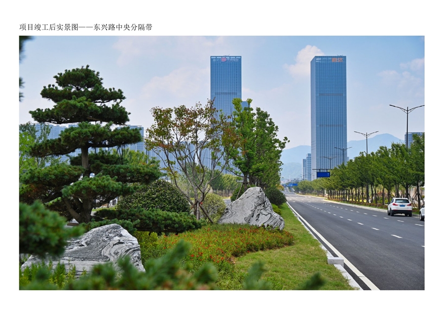 09项目竣工后实景图_东兴路中央分隔带.jpg