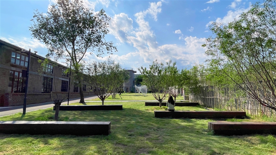 苍野论道场地.jpg