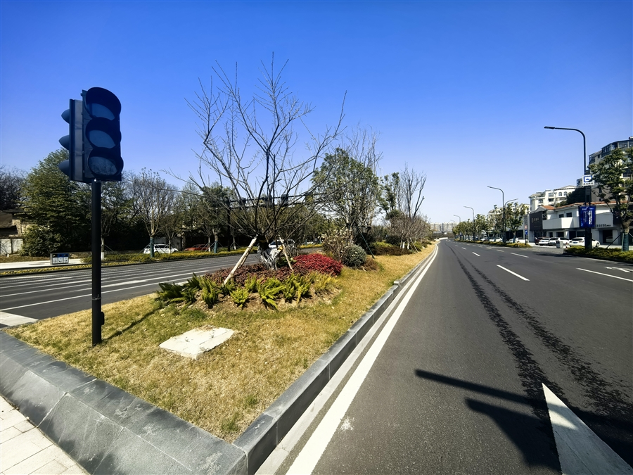 改造后景观绿化_花镜2.jpg