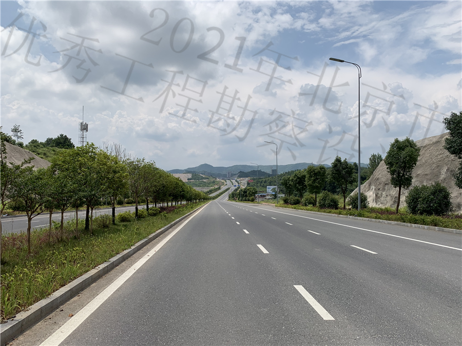 桃园大道建成后道路断面.JPG