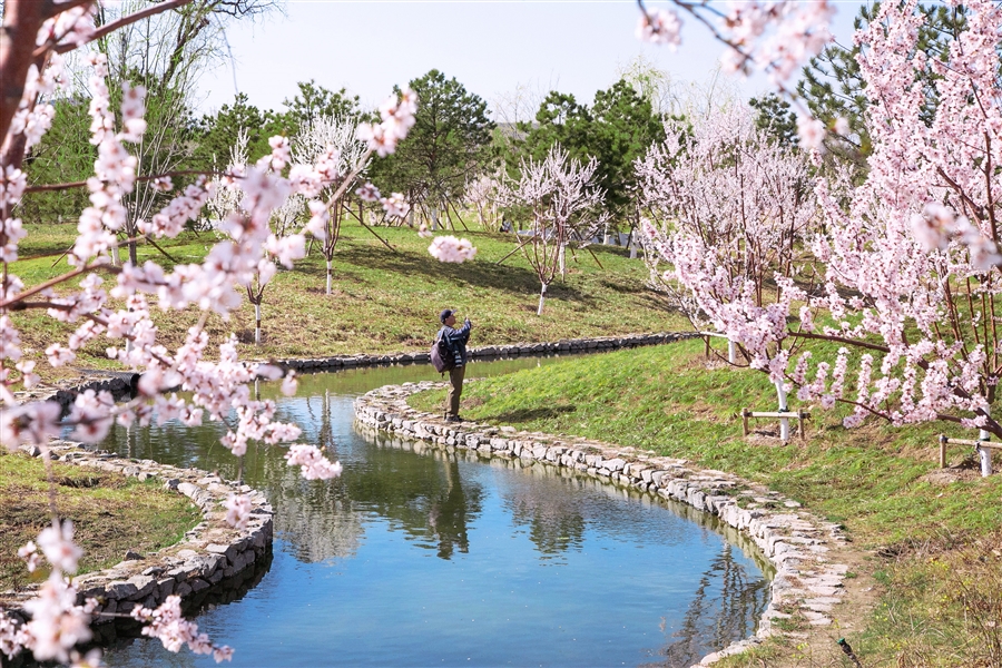 14.水渠——一溪桃花水实景照片.jpg
