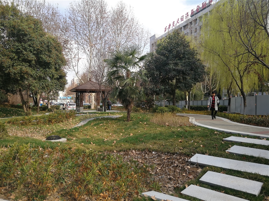 绿地海绵化改造.jpg