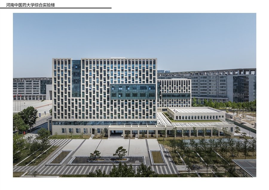 河南中医药报奖A3_2504145.jpg