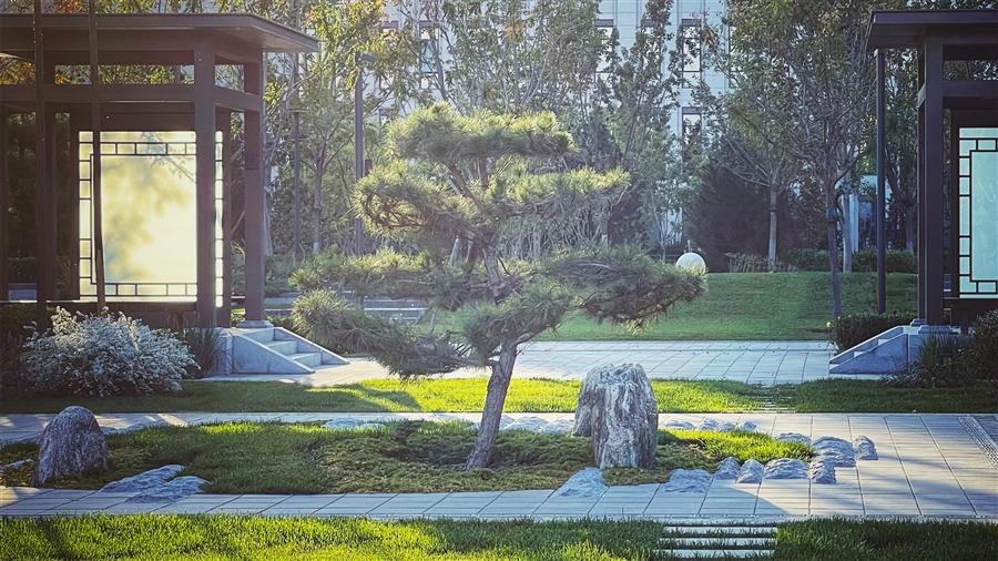 四时和院_4_中心造型景观_.jpg
