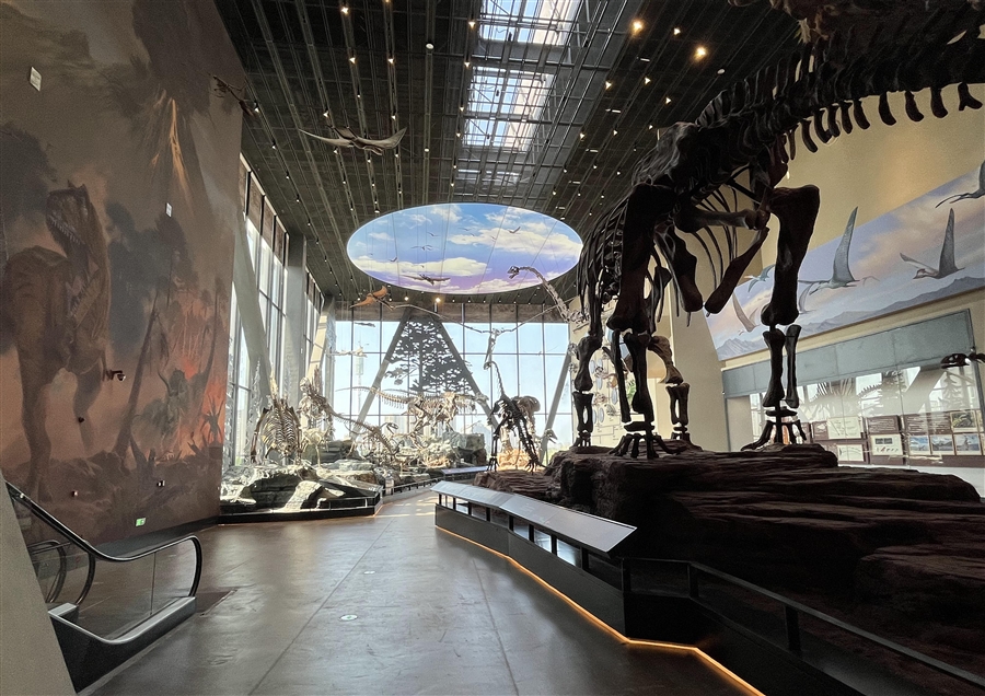 34_大型古生物展厅室内.jpg
