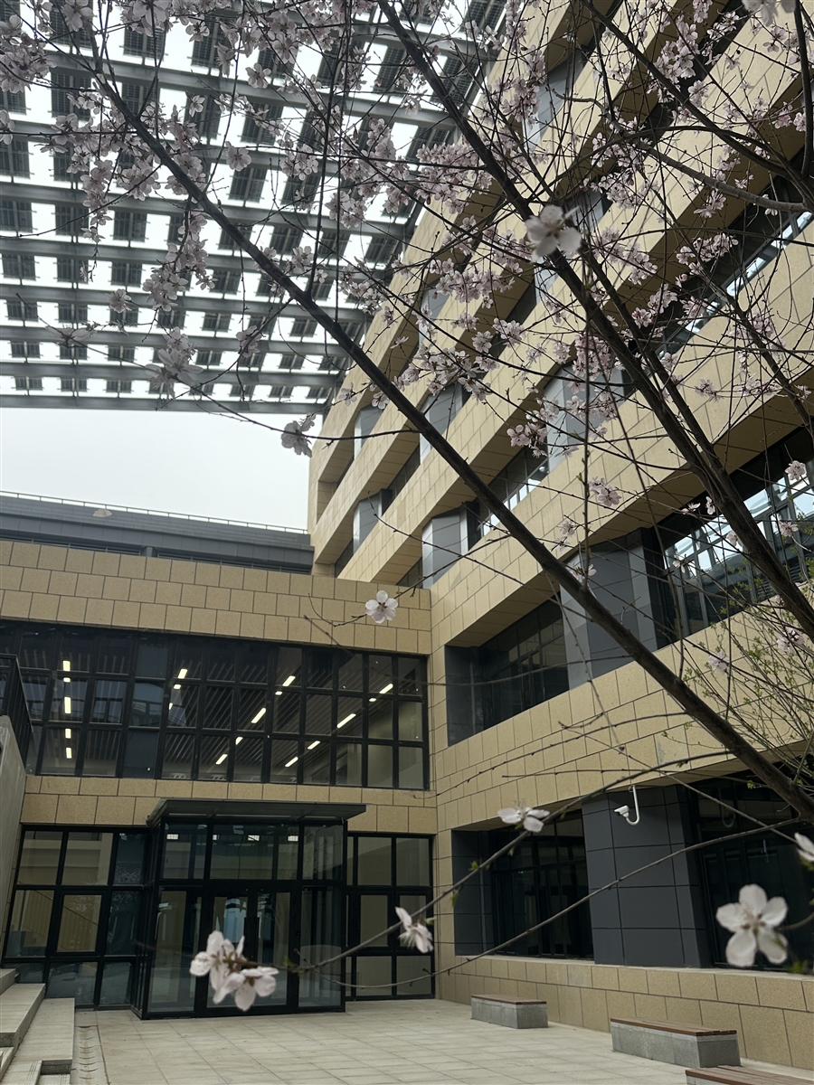 37_内庭院.JPG