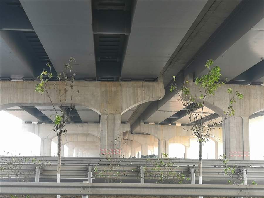 12_桥梁结构.jpg