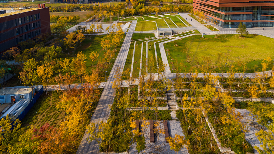 DJI_0027.jpg