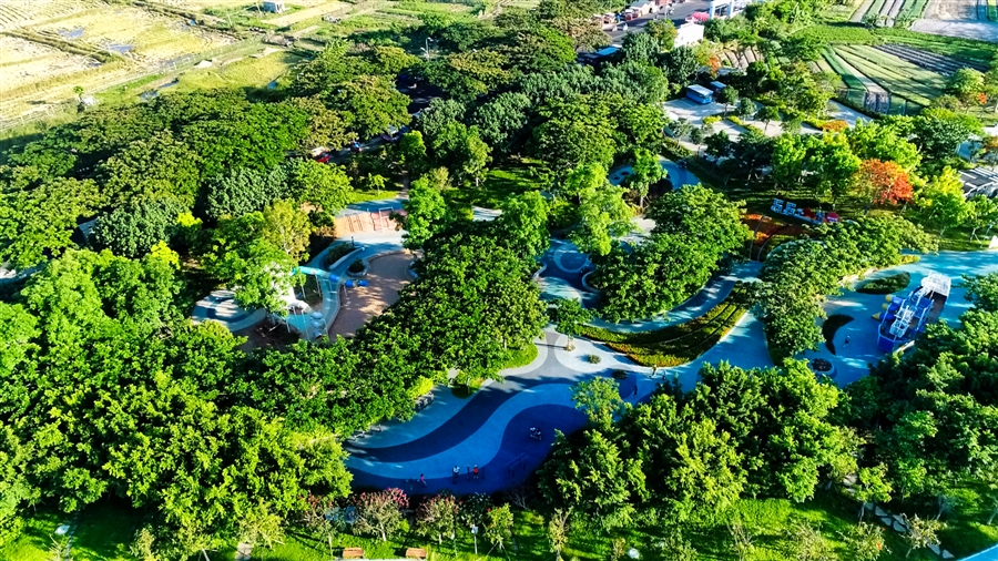 16_儿童乐园鸟瞰.jpg