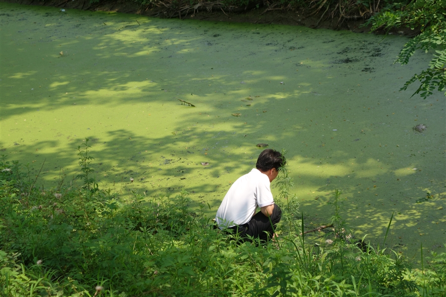 河道污染调研图3.JPG
