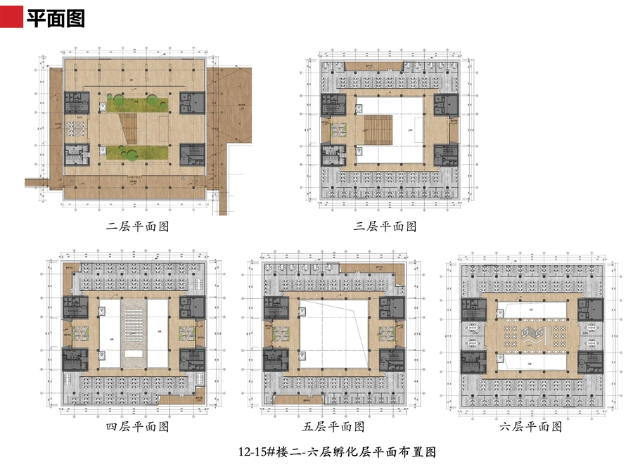 12_15_楼二_六层孵化层平面布置图.jpg