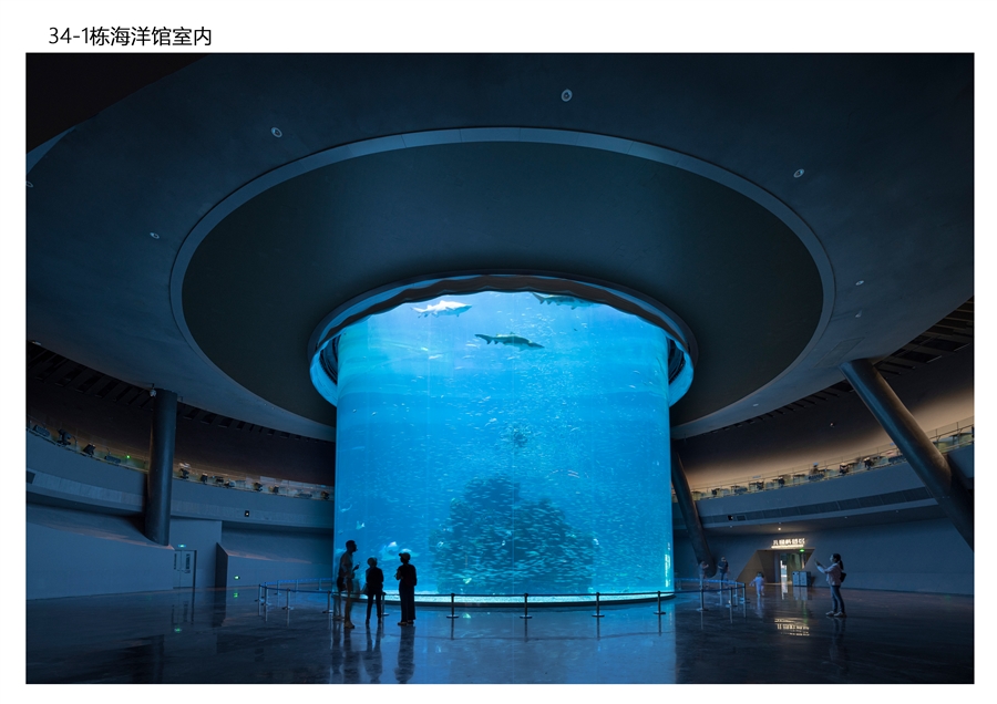 34_1栋海洋馆室内.jpg