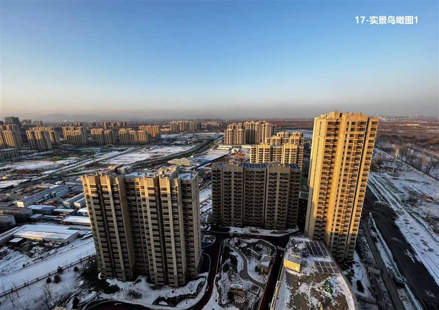 17_实景鸟瞰图1.jpg